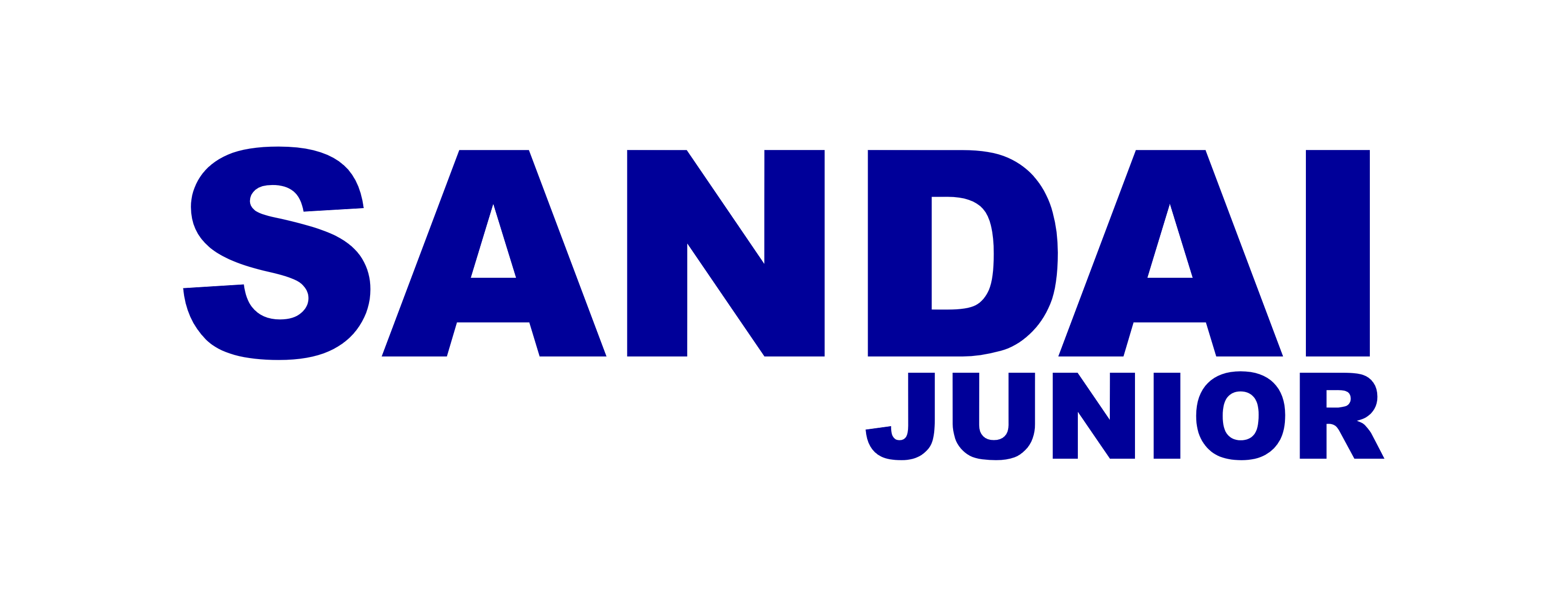 三大小ジュニアバレーボールクラブ